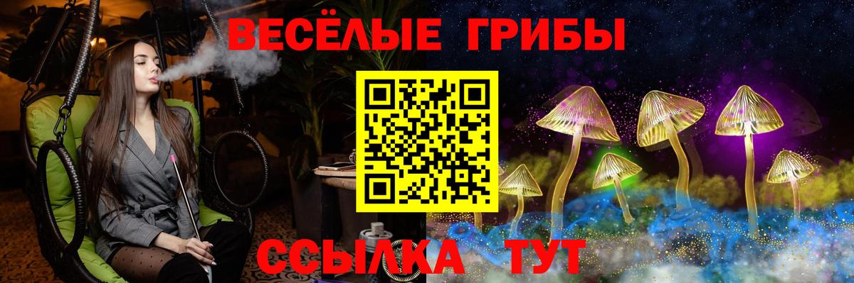 Ейск  Псилоцибиновые грибы Psilocybe  Псилоцибиновые грибы Psilocybine cubensis  Вход с VPN 
